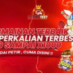 Daftar Hoki Qris Terbaik untuk Anda